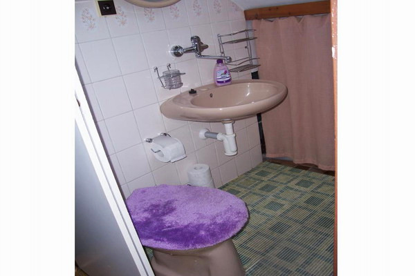 Chalupa v Petrovicích na Šumavě  - WC v podkroví
